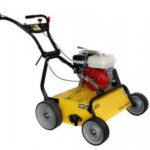 SCARIFICATEUR ROQUES ET LECOEUR
