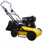 SCARIFICATEUR ROQUES ET LECOEUR
