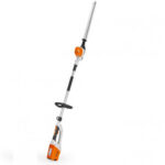 TAILLE HAIES SUR PERCHE